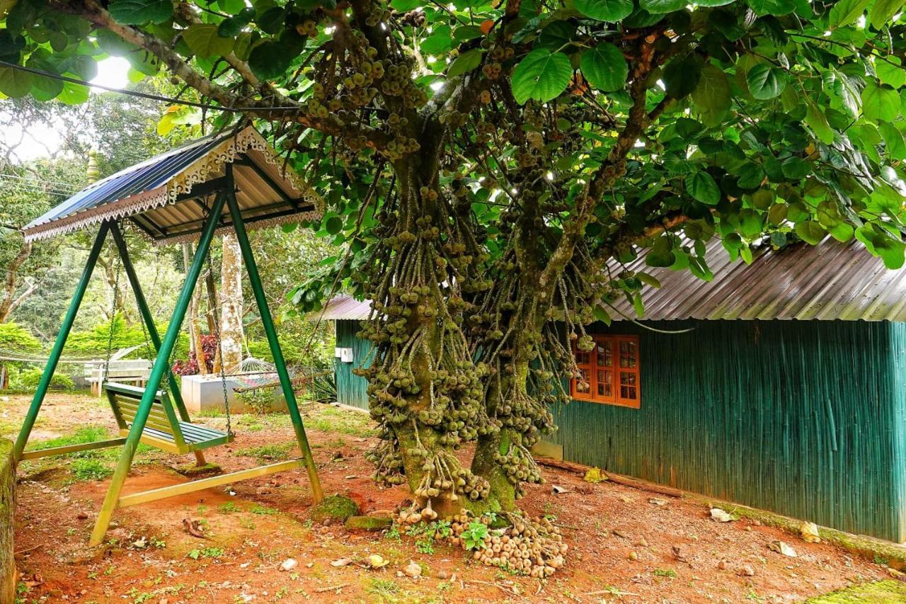 Hill Valley Farm House Nelliyampathy Exteriér fotografie